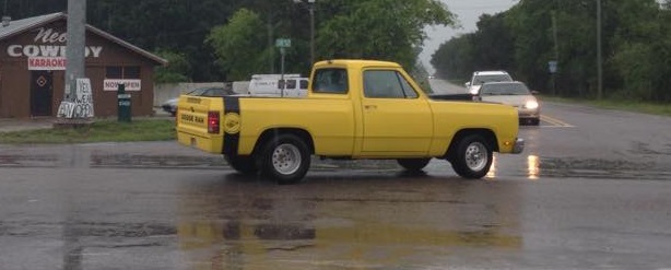 Attached picture yellow in the rain.jpg